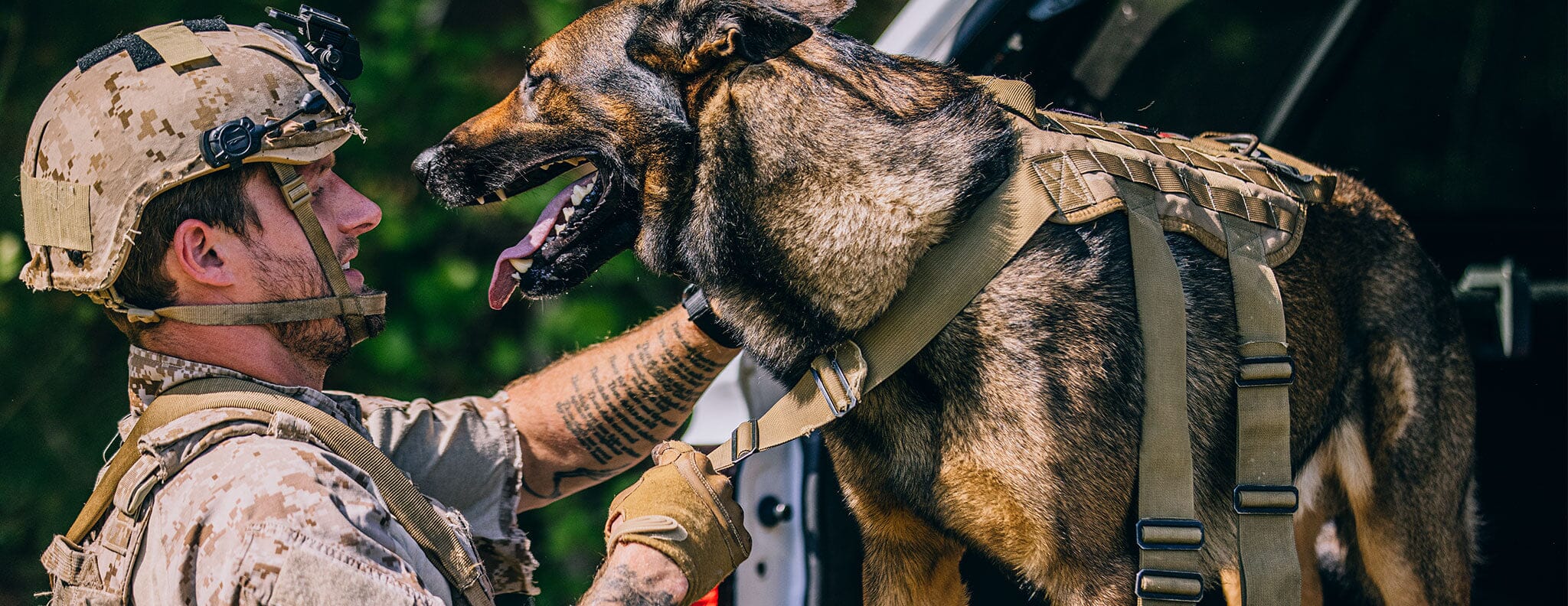 man and dog in army attire